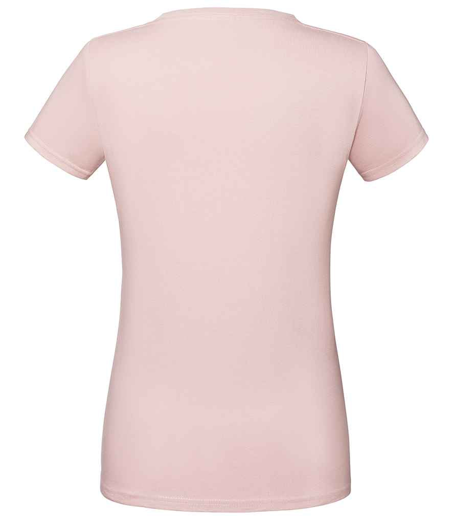 Powder Rose