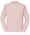 Powder Rose