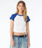 White/Royal Blue