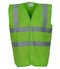 Lime Green