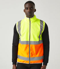 Yellow/Orange